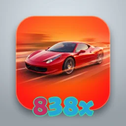 838x